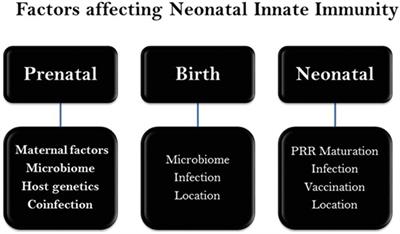 Innate Immunity of Neonates and Infants